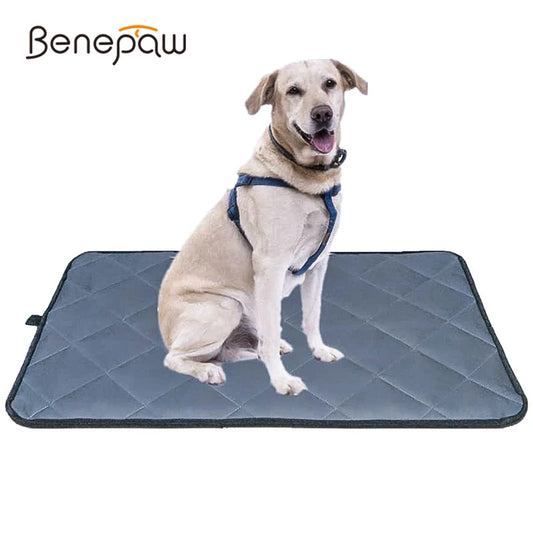 Benepaw All season Bite Resistant Dog Mat Antislip Waterproof Pet Bed For Small Medium Large Dogs Washable Crate Pad