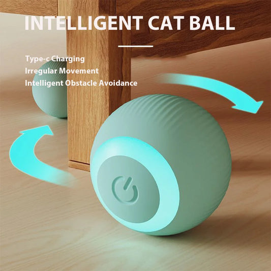 Pet Ball Interactive Balls for Cat Smart Training Dog Accessories Toys for Indoor Interactive Playing for Small Medium Large